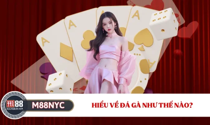 Hiểu về đá gà như thế nào?